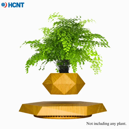 Magnetic Levitating Plant Pot – Floating Rotating Planter for Succulents