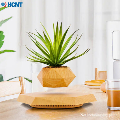 Magnetic Levitating Plant Pot – Floating Rotating Planter for Succulents